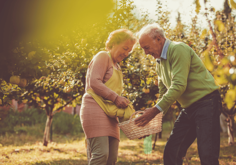 Respite Care Houses: Your Comprehensive Guide in Australia